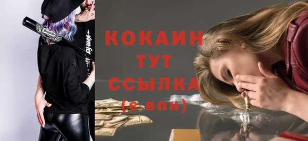 ПСИЛОЦИБИНОВЫЕ ГРИБЫ Заволжск