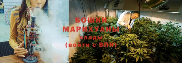 ГАЛЛЮЦИНОГЕННЫЕ ГРИБЫ Заводоуковск
