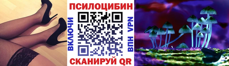 Псилоцибиновые грибы Psilocybe  купить закладку  Зуевка 